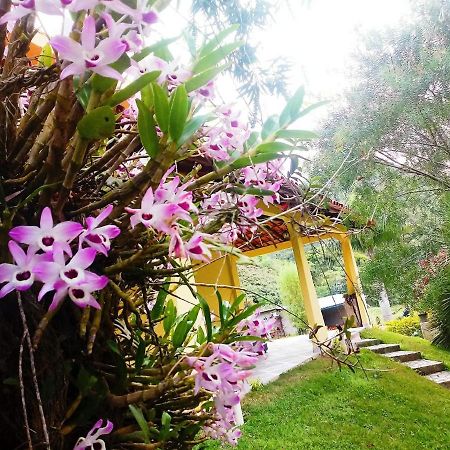 Casa Com Flores Pedra Azul  Bagian luar foto